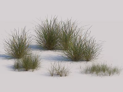 Natural Green Grass Clusters Growing With Soft Shadows On White Background 3d model