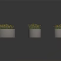 Yellow Flowers In Multiple Gray Cylindrical Planters Arranged On Dark Background