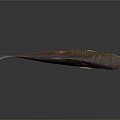 Striped Brown Yellow Fish With Large Eye And Reflection On Dark Surface