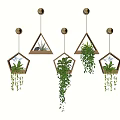 Various Shaped Hanging Planters With Trailing Green Plants For Indoor Decor 3d model