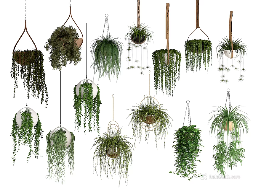 Hanging Basket Plants With Various Trailing Plant Varieties For Indoor Home Decor 3d model 