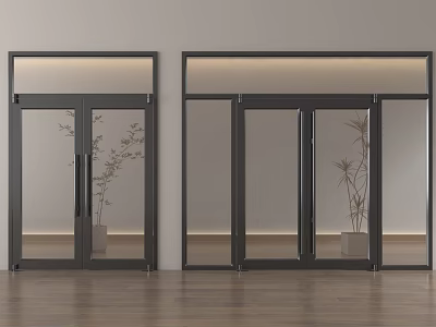 Modern Glass Double Doors Interior Design With Decorative Plants Wooden Floor And Light Wall 3d model