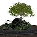 Tree Planter with Tree Lush Greenery and Black Marble Base on Wooden Deck 3d model