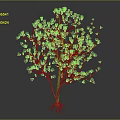 Tree with Pink Flowers Slender Trunk Branches and Exposed Roots on Dark Background 3d model