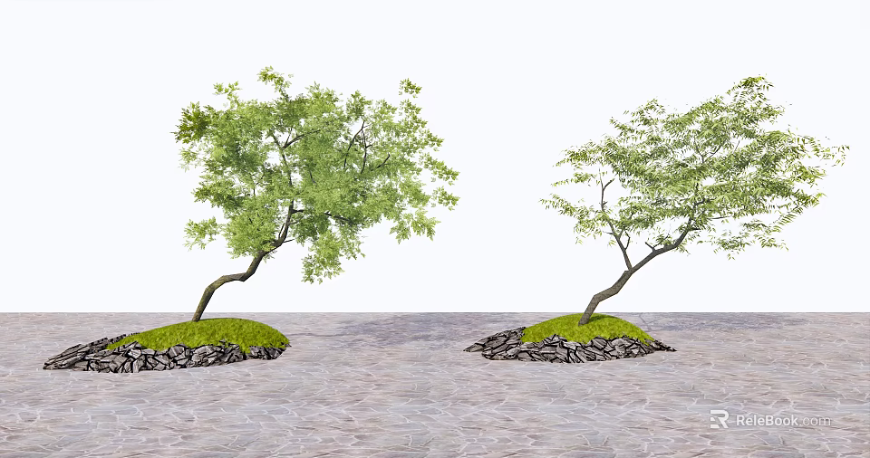 Trees with Curved Trunks Growing on Small Mounds with Grass Stones and Water Surface 3d model 