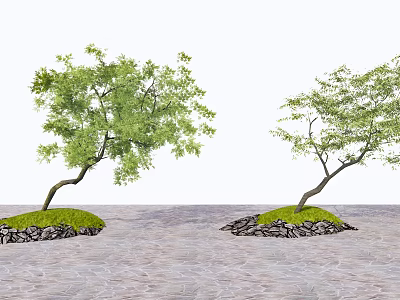 Trees with Curved Trunks Growing on Small Mounds with Grass Stones and Water Surface 3d model