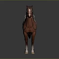 Realistic Brown Horse With Saddle Mane Tail And White Hooves