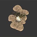 Game and Movie Character in Sandy Terrain with Rocks Branches and Green Plants