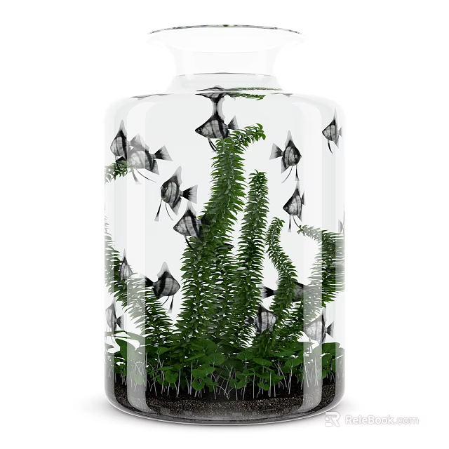 Cylindrical Glass Fish Tank with Black Angelfish and Green Aquatic Plants Home Decor 3d model 