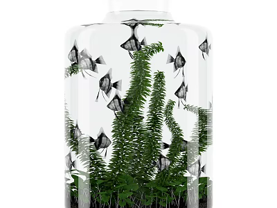Cylindrical Glass Fish Tank with Black Angelfish and Green Aquatic Plants Home Decor 3d model