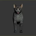 Realistic Grey Striped Cat With Blue Eyes Standing Against Grey Background