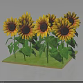 Cluster Of Vibrant Yellow Sunflowers With Dark Centers And Green Leaves On Green Base