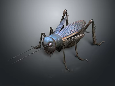 Realistic 3D Model Cricket With Blue Body Long Antennae And Textured Wings 3d model