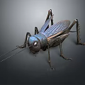 Realistic 3D Model Cricket With Blue Body Long Antennae And Textured Wings 3d model