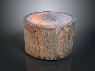 Rustic Wooden Tree Stump Decorative Piece With Round Surface And Natural Growth Rings 3d model