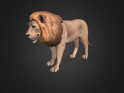 Realistic 3D Lion Model With Detailed Mane Standing On Dark Background 3d model