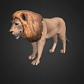 Realistic 3D Lion Model With Detailed Mane Standing On Dark Background