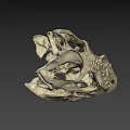 Ancient Dinosaur Skull Fossil With Detailed Bone Structure And Sharp Teeth 3d model