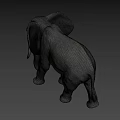 Gray Elephant With White Tusks Standing In Savanna Under Blue Sky