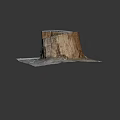 Natural Wooden Stump With Ring Patterns And Cracked Surface On Square Stone Slab Base 3d model