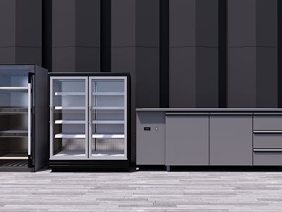 Modern Freezer model