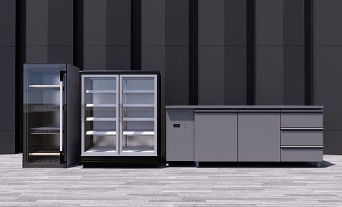 Modern Freezer 3d model