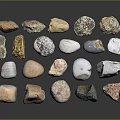 Various Colored Natural Stone Pieces With Diverse Shapes And Textures For Decoration