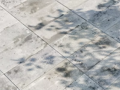 Gray Stone Floor Tiles With Leaf Shadow Patterns Outdoor Surface Design 3d model