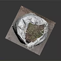 Plant Wrapped In White Bag Placed On Square Stone Slab