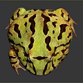 Frog Poison Frog Game Frog Reptile Cold Blooded Animal Reptile 3d model