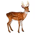 Brown and White Deer with Antlers White Spots and Natural Coat