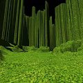 Tall Columnar Shrubs Growing in Lush Green Grassy Area With Dark Background