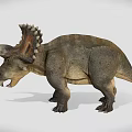 Realistic Triceratops Dinosaur 3D Model in Standing Pose with Detailed Features