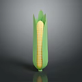 Fresh Sweet Corn With Green Husks And Yellow Kernels On Black Surface