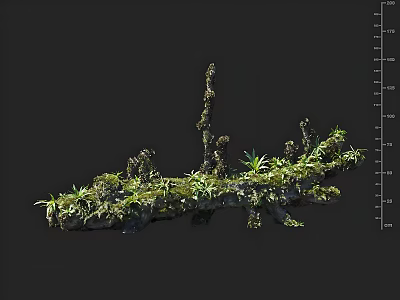 Decorative Wooden Base Arrangement With Natural Moss And Green Plants 3d model