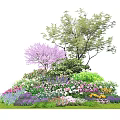 Colorful Garden Shrubs With Purple Pink White Flowers Green Tree And Lush Grass