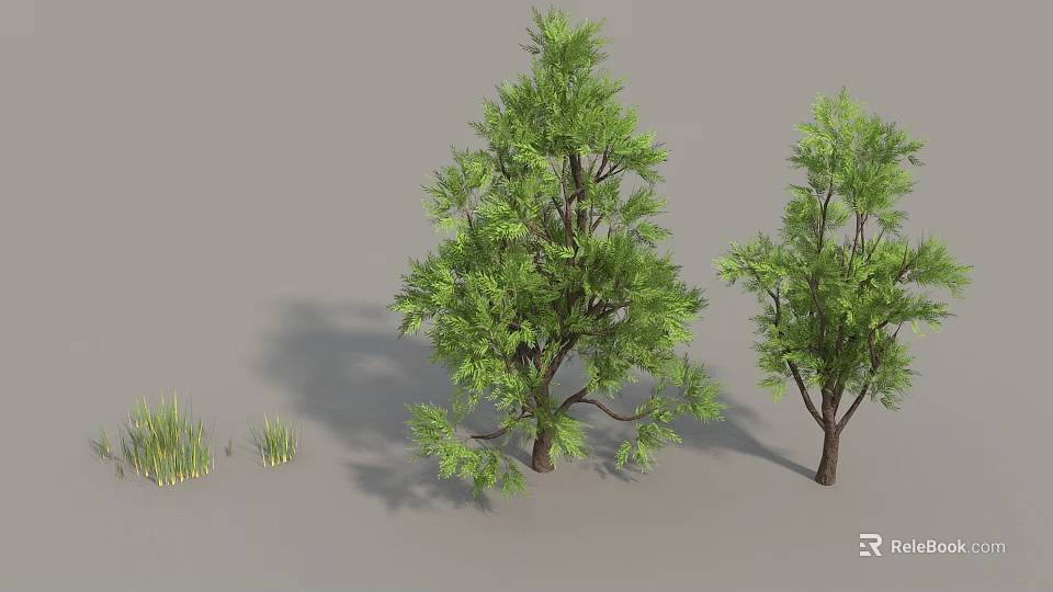 Lush Green Trees With Foliage Brown Trunks And Surrounding Grass 3d model 