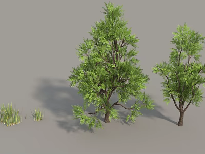 Lush Green Trees With Foliage Brown Trunks And Surrounding Grass 3d model