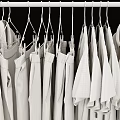 Organized Clothes Hanging On Hangers With Shirts Pants And Shoes Below