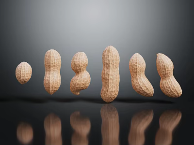 Various Shaped Peanuts In Shells Arranged On Dark Reflective Background Surface 3d model