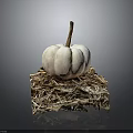 Fresh Small White Pumpkin Displayed On Dry Hay Bale With Gray Backdrop