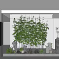 Bamboo Indoor Landscape With Stones Green Plants And Water Feature