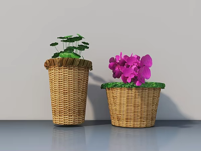 Potted Bonsai Plants in Wicker Baskets with Green Leaves and Purple Flowers on Indoor Tabletop 3d model