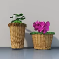 Potted Bonsai Plants in Wicker Baskets with Green Leaves and Purple Flowers on Indoor Tabletop