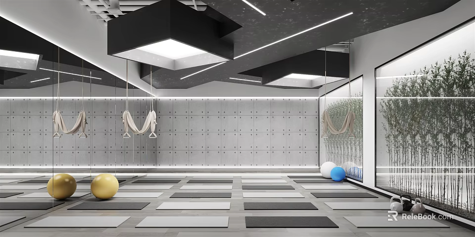 Modern Yoga Studio With Hammocks Yoga Mats Balls Geometric Pattern Walls And Windows With Plants 3d model 