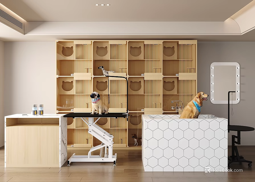Veterinary Medical Equipment With Adjustable Examination Table And Storage Cabinets 3d model 