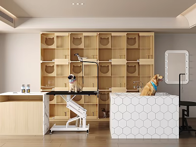 Veterinary Medical Equipment With Adjustable Examination Table And Storage Cabinets 3d model