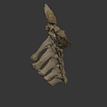 Detailed Anatomical Skeleton With Vertebrae And Ribs On Dark Background