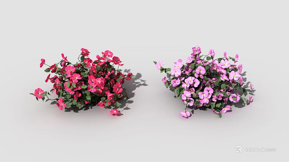 Lush Flowering Plants With Red And Pink Blooms In Outdoor Garden Scene 3d model 