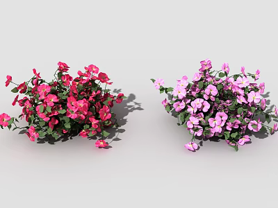 Lush Flowering Plants With Red And Pink Blooms In Outdoor Garden Scene 3d model